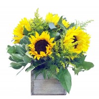 Golden Daylight Bouquet