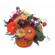 Pumpkin Harvest Bouquet